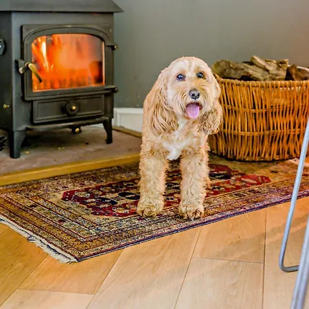 6 Bed In Martindale 95344 Holiday home *